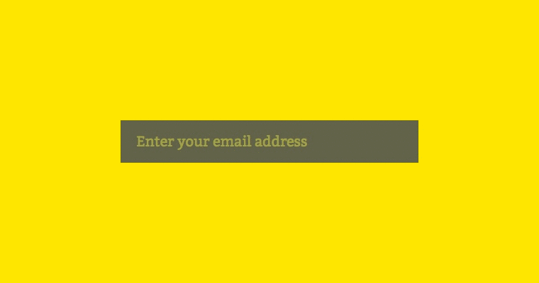 Minimalist Newsletter Subscription Form